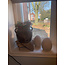 # Planter Two Ears BRYNXZ Stone Black M D.26 H.23