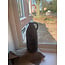 # Afgeprijsde artikelen verzending eigen risico # Bottle One Ear BRYXZ Stone Black M D.14 H.37