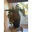 # Vase Tall Huge BRYNXZ Stone Black D.27 H.44