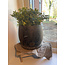 # Planter Large Basalt D.22x H18 - per stuk - grootste