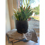 # Planter Large Basalt D.18x H16 - per stuk - kleinste