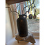 # Jug Basic Basalt L D.22 H.40