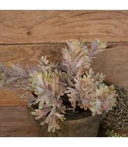 ## SENECIO BUSH BRONZE 30 cm - kunst
