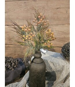 ## Protea Bush Mini Grey 41 cm