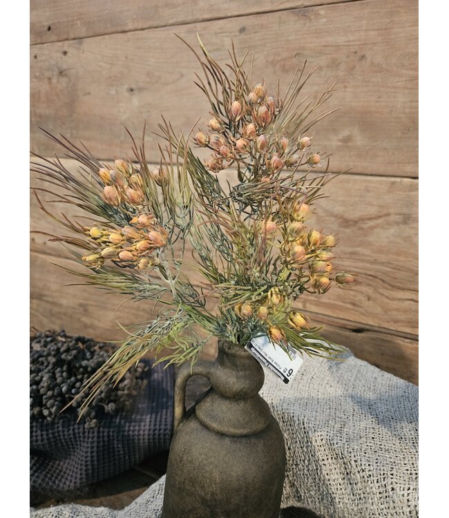 ### Protea Bush Mini Grey 41 cm