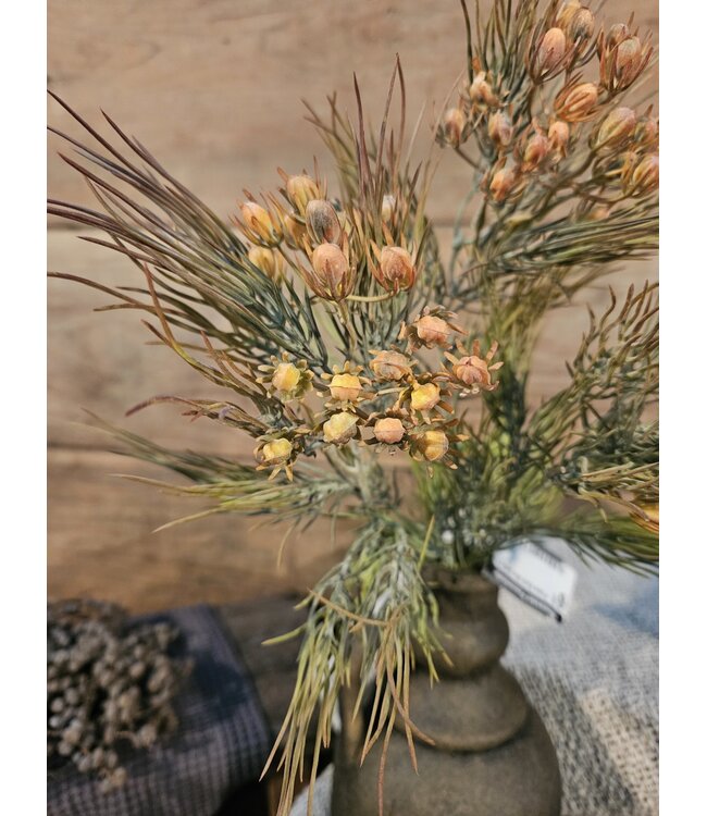### Protea Bush Mini Grey 41 cm