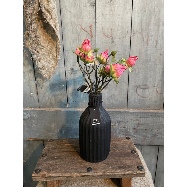 Still 31116 - Bottle Line S Black Series - 	Ca. 12 L x 12 B x 24 H cm