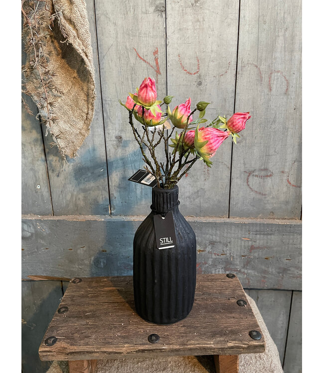 Still 31116 - Bottle Line S Black Series - 	Ca. 12 L x 12 B x 24 H cm