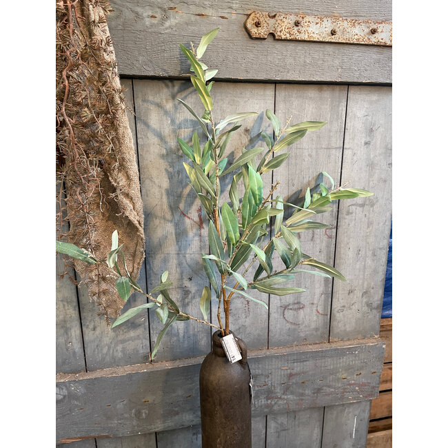 ## Olive Stem Real Touch Grey Green L 100 cm
