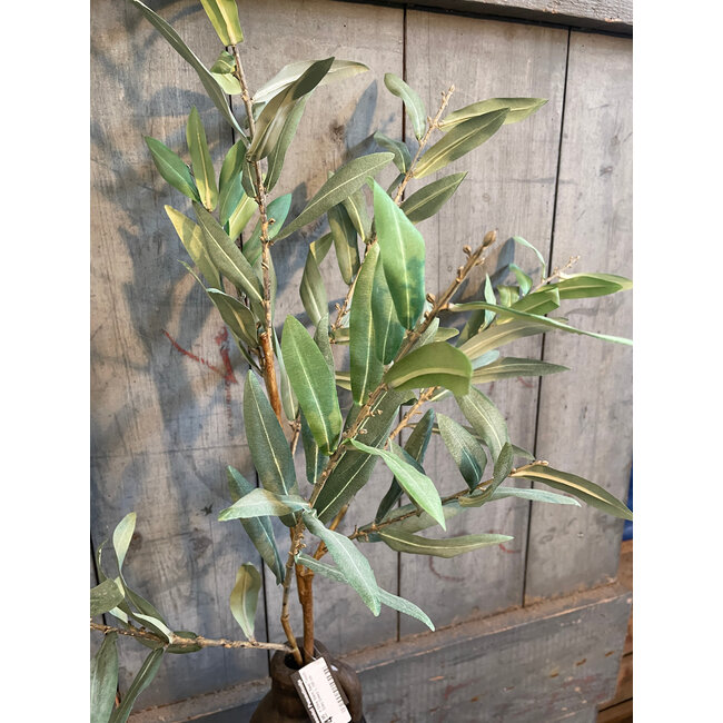 ## Olive Stem Real Touch Grey Green L 100 cm