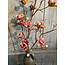 ## Azalea Stem Purple 83 cm