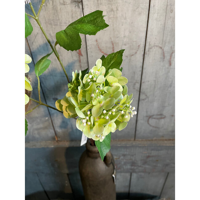 ## Wild Hydrangea Light Green 80 cm