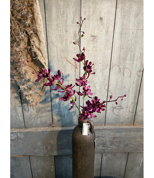 Cymbidium Dark Pink 78 cm