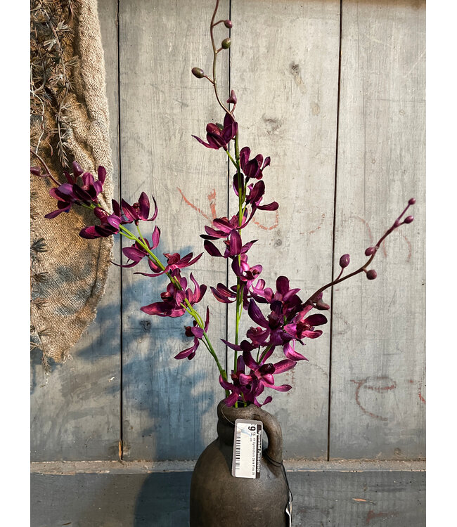 Cymbidium Dark Pink 78 cm