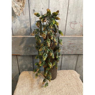 ## Humulus Brown 75 cm