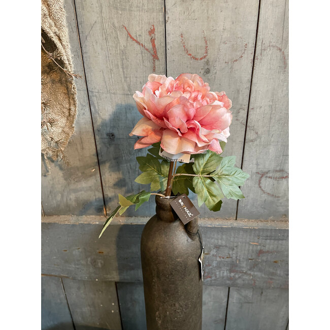 ## Peony Ant. Pink 70 cm