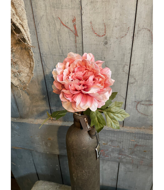 Peony Ant. Pink 70 cm