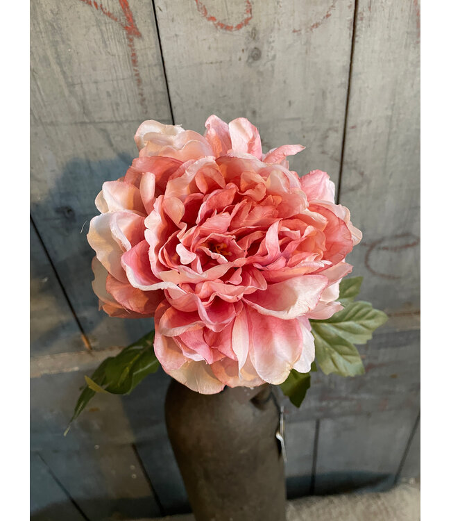 Peony Ant. Pink 70 cm