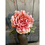 ## Peony Ant. Pink 70 cm
