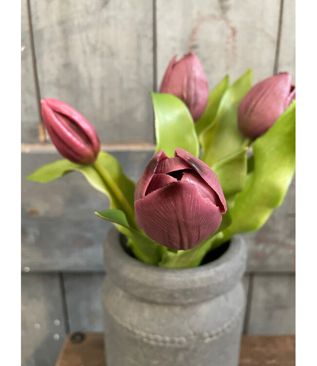 # Real Touch Tulip Bundle x5 L31cm Aubergine