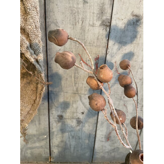 ## Mespulus Stem Brown 70 cm