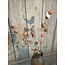## Mespulus Stem Brown 70 cm