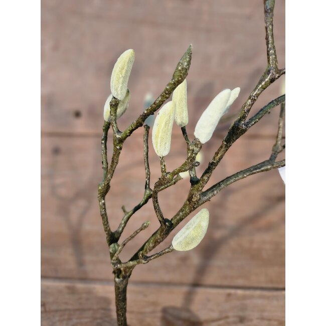 ## Magnolia Deadwood Spray 77cm