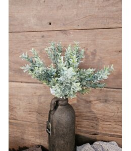 Boxwood Bush 30cm
