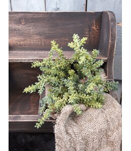 Mini Plant 25cm - groen