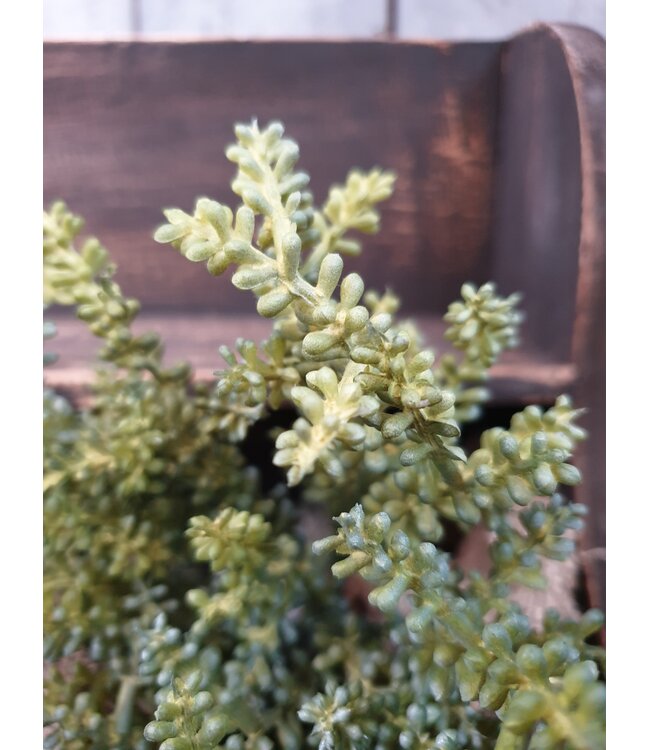 Mini Plant 25cm - groen