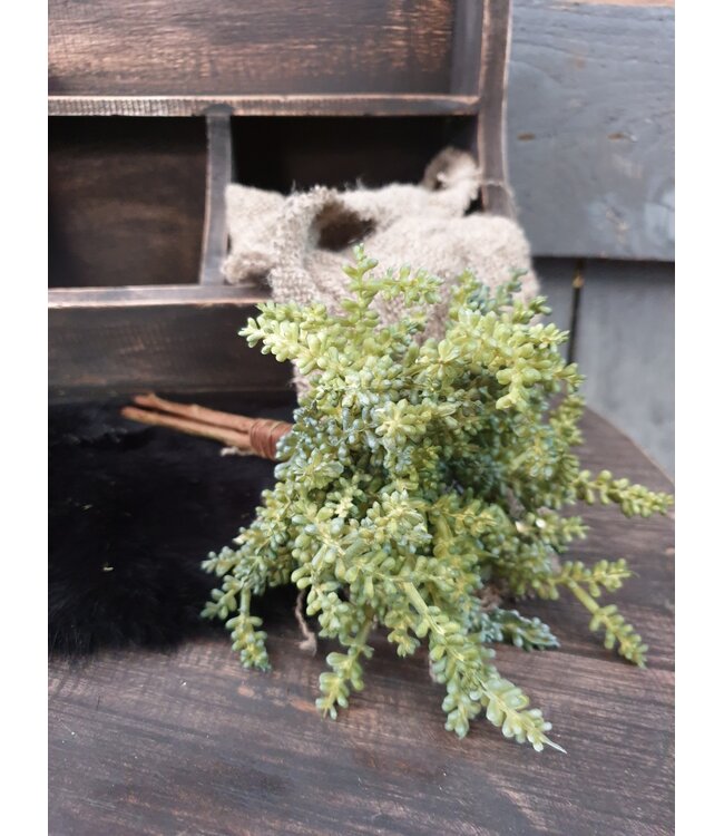 Mini Plant 25cm - groen