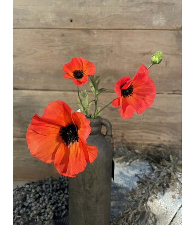 # Oranje klaproos 63 cm