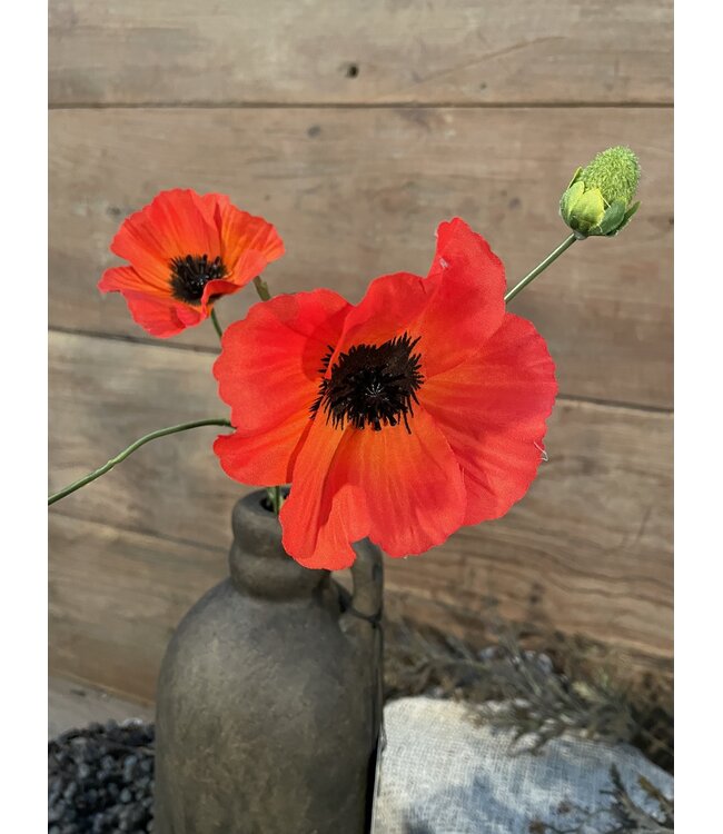 # Oranje klaproos 63 cm