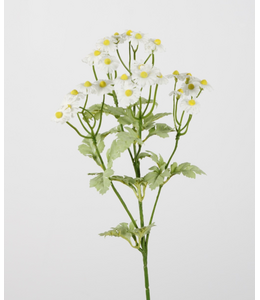 ## Umbrella Daisy Spray 61cm