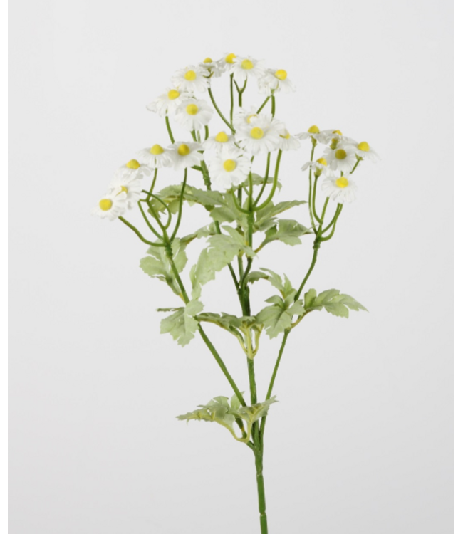 ## Umbrella Daisy Spray 61cm