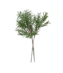 Countryfield # Gleichenia boeket groen-L35B18H16CM