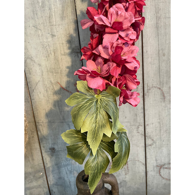 ## Delphinium Purple S