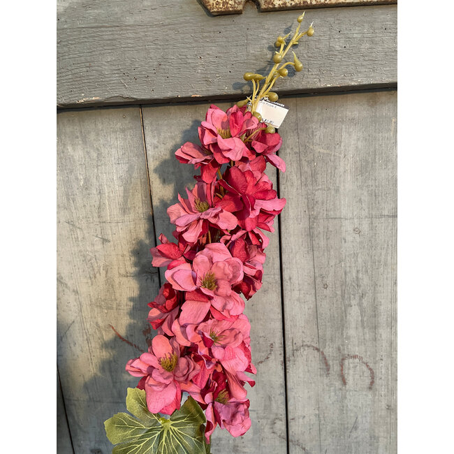 ## Delphinium Purple S