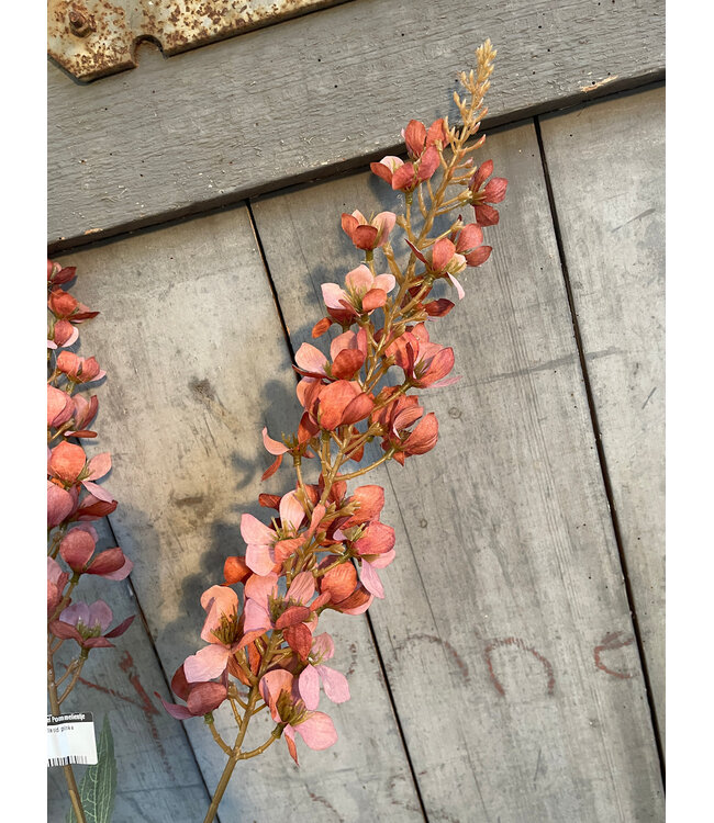 # Digitalis old pink s