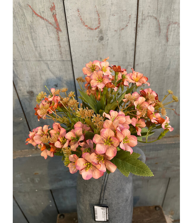 Freshi bundle pink S
