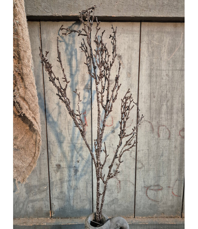 Dried crotch Branch brown L