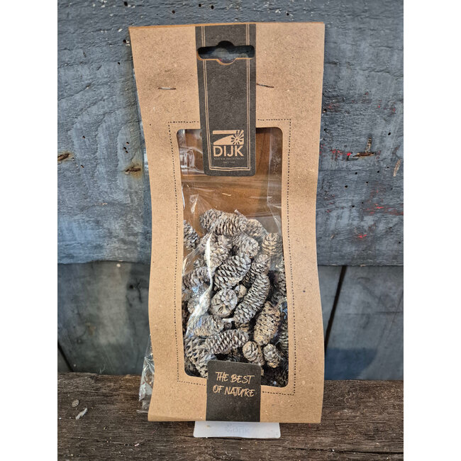 # Birch pine 50gr 10x5x21cm - whitewash