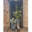 # Dubbel louvreluik - hout - grijze finish - 2 x 25 cm x 90 cm