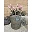 Still # wordt niet verzonden - 3435 - Cilinder Pot Planter M Gold - Ca. 24 D x 30 H cm - alleen afhalen/wordt niet verzonden