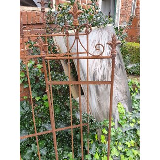 Plantensteun 2d franse lelie s - per stuk - wordt niet verzonden