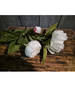 Witte pioenrozen, 3 bloemen aan 1 tak - 72 cm