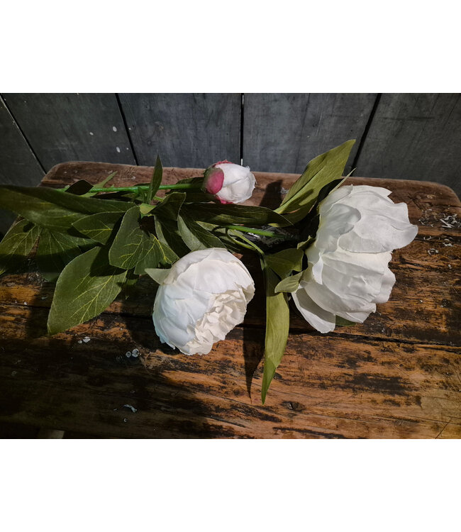Witte pioenrozen, 3 bloemen aan 1 tak - 72 cm