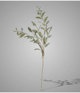 ## Salix Grey Green 102 cm