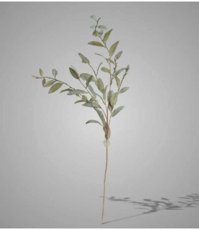### Salix Grey Green 102 cm