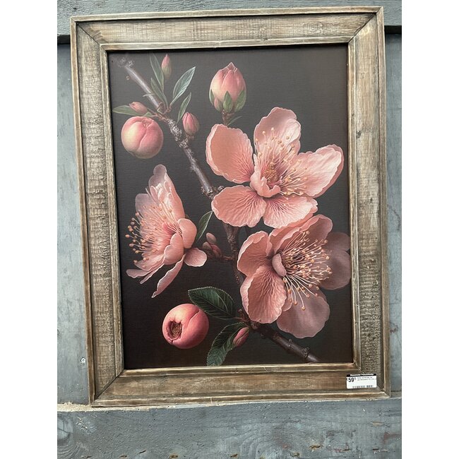 Sober landelijke lijst perzikbloesem 52 x 66 cm